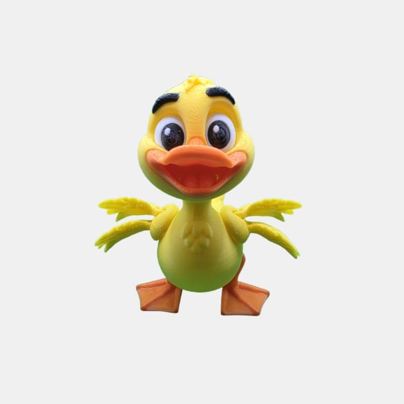 Duck