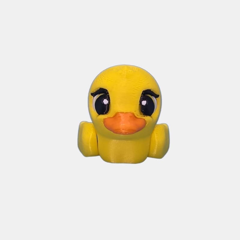 Mini Duck